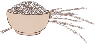 Nallari rice - silky sortex rice