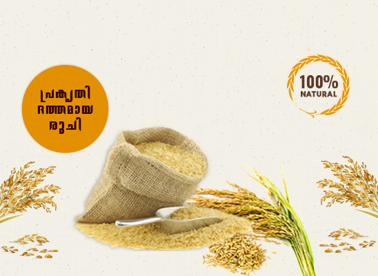 Nallari rice - silky sortex rice