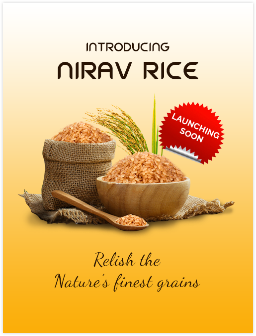 Nallari rice - silky sortex rice