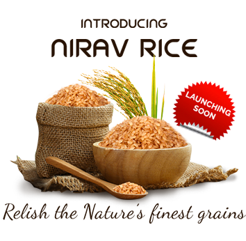 Nallari rice - silky sortex rice